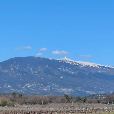 Mon Ventoux Villa Modene Eksteriør billede